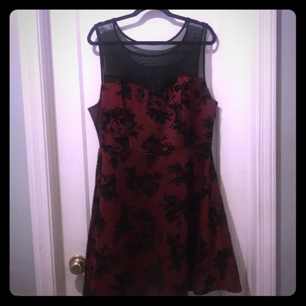 Trixxi party dress